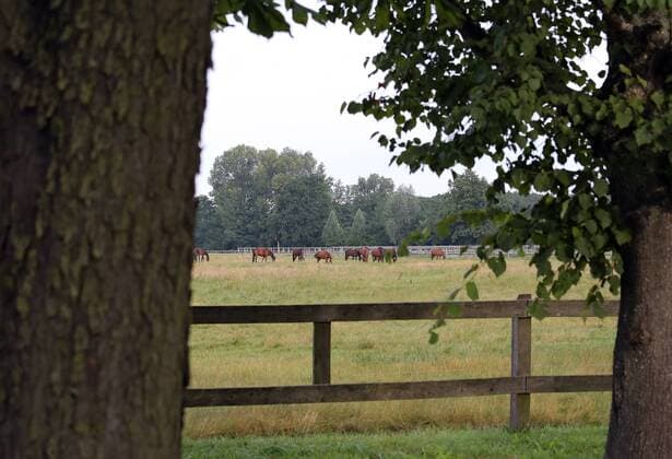Coronavirus, Brandenburg, Neustadt Dosse in Quarantäne