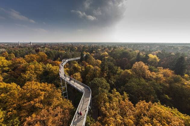 IMAGO Creative, Herbst, Baumwipfelpfad besuchen
