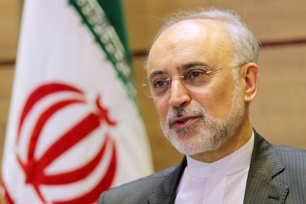 Iran, Ali-Akbar Salehi hat sich mit dem Coronavirus infiziert