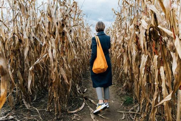 IMAGO Creative, Herbst, Labyrinth besuchen