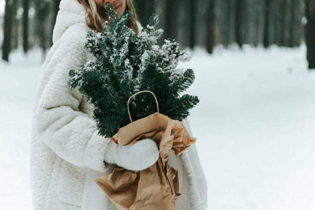IMAGO Creative, Weihnachten, Weiße Weihnacht