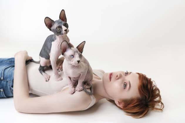 Creative Highlights Symbolfotos