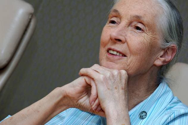 Nekrolog 2025, Jane Goodall gestorben