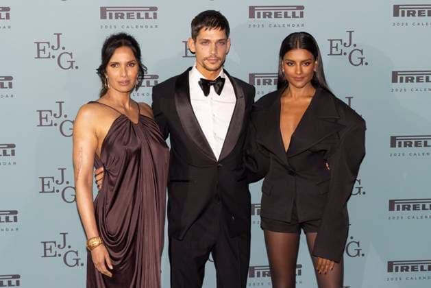 Pirelli Calendar Gala Dinner in London