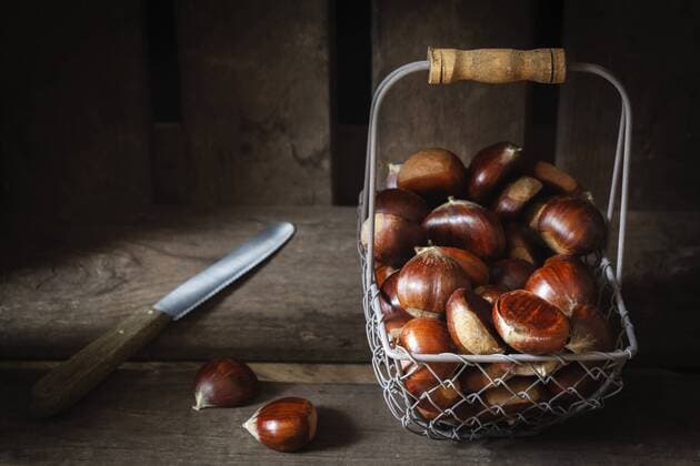IMAGO Creative, Herbst, Kastanien sammeln