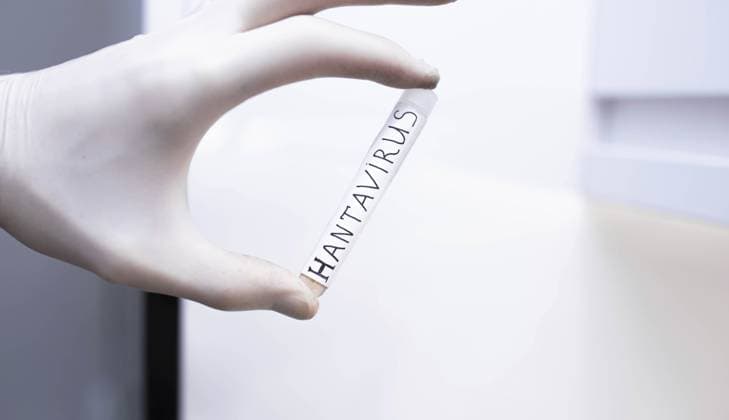 Hantavirus - Symbolbilder