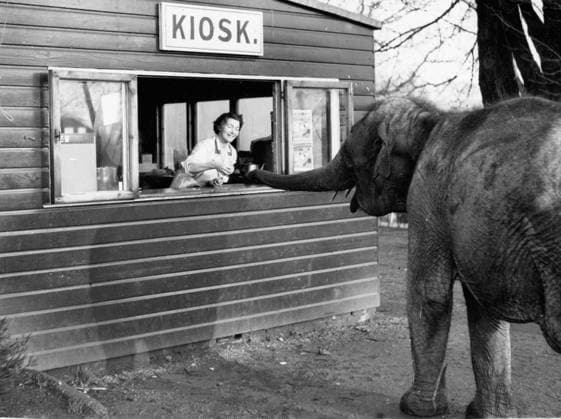Archivbilder der Woche KW26
