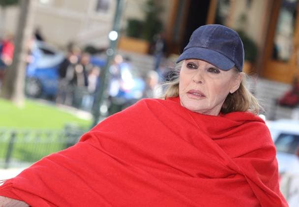 Millionen-Betrug an Ursula Andress, Archivbilder