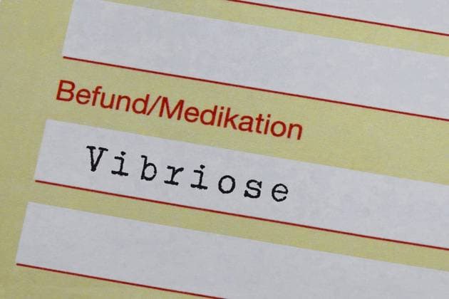 Zwei Todesfälle durch Vibrionen-Infektionen, Symbolbilder