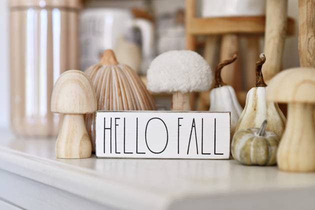 IMAGO Creative, Herbst, Beige-Moodboard
