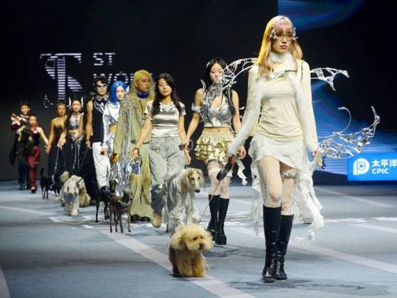 Petjoy Fashion Week in Shanghai