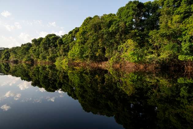 Abholzung im Amazonas ist 2025 zurückgegangen, Archivbilder