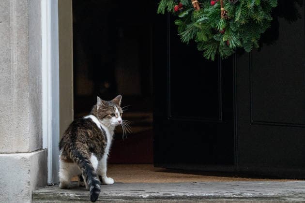 London, Kater Larry vor Downing Street 10