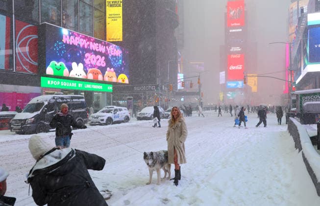 Holly Graves Fotoshooting mit einem Wolf auf dem Times Square in New York