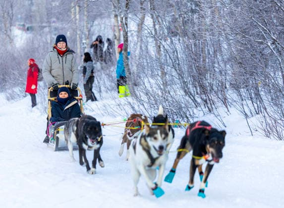 Royals, Prinzessin Ingrid Alexandra bei Hundeschlittenfahrt in Kirkenes