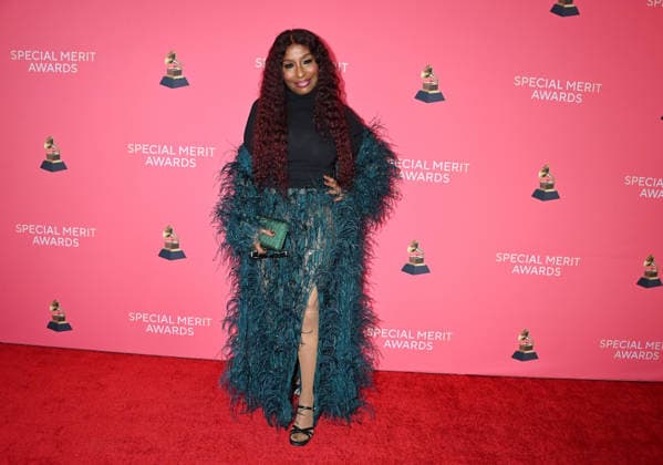 Special Merit Awards Ceremony und Grammy Nominees Reception in Los Angeles