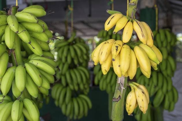 Tag der Banane am 15. April, Archivbilder