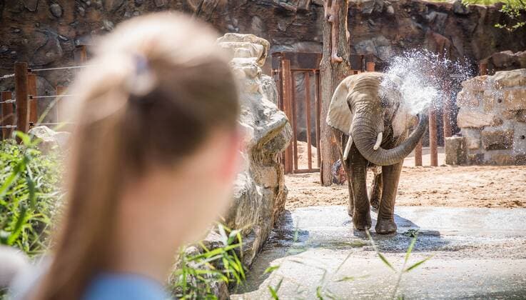 Coronavirus in Sachsen, Sachsens Zoos und Botanische Gärten sollen ab 4. Mai wieder öffnen