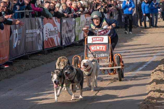 Baltic Lights Schlittenhunderennen auf Usedom