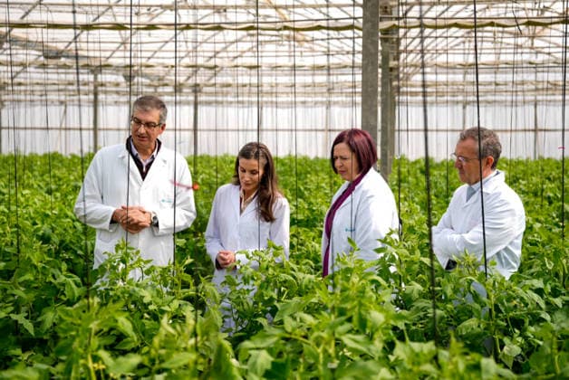 Royals, Königin Letizia von Spanien besucht die Cajamar-Versuchsstation Las Palmerillas für intensive Landwirtschaft in El Ejido