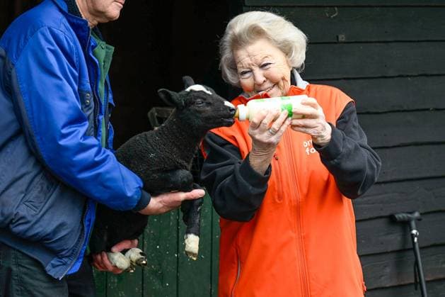 Prinzessin Beatrix bei Freiwilligenaktion im Rahmen von NLdoet in Amsterdam
