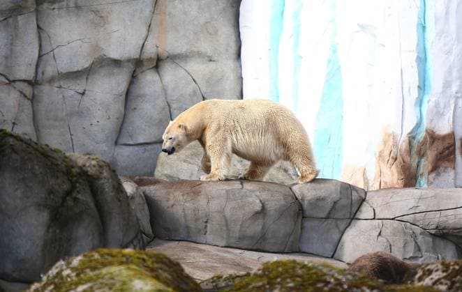Hamburg, Eindrücke aus dem Tierpark Hagenbeck
