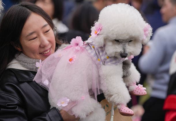 Pet Parade in Vancouver