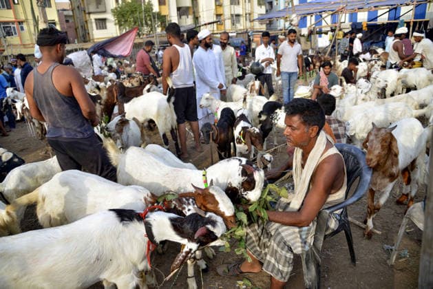Indien, Vorbereitungen auf das islamische Opferfest Eid al-Adha in Patna