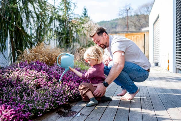IMAGO Creative, Sommer, Garten