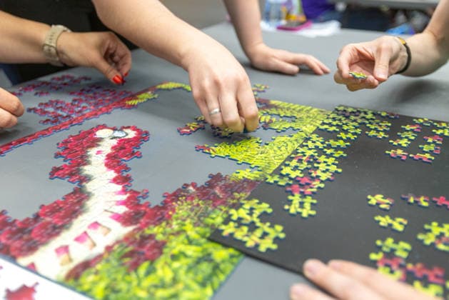 Tschechien, Puzzle-Wettbewerb in Ostrava