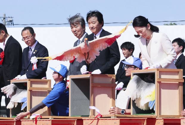 Royals, Kronprinz Fumihito und Kronprinzessin Kiko setzen Schopfibisse frei in Hakui