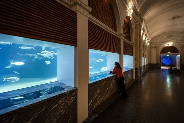 Niederlande, Wiedereröffnung des historischen Artis-Aquariums in Amsterdam