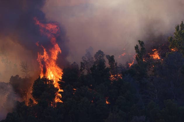 Italien, Waldbrand auf Sizilien
