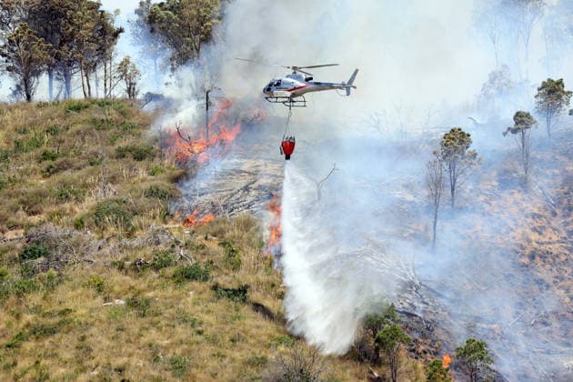 Italien, Waldbrand auf Sizilien