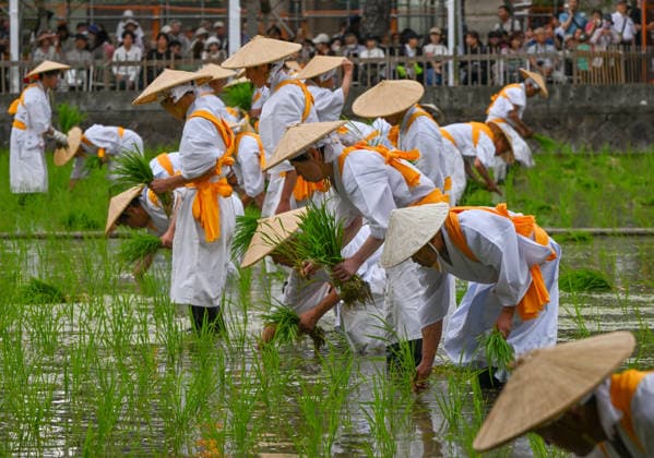 Japan, Otaue-Reisfest in Osaka