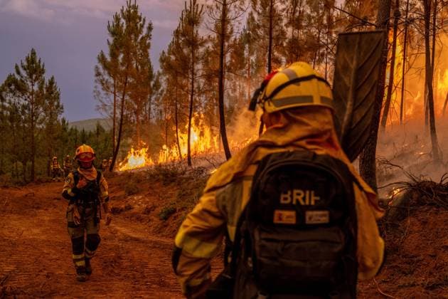 Spanien, Waldbrand in Boboras, Galicien