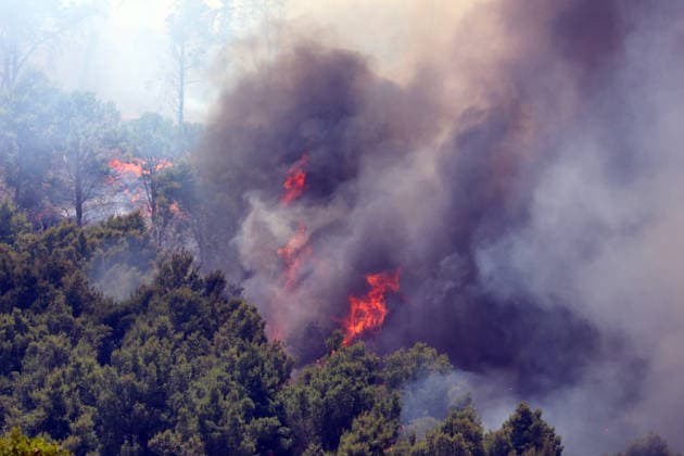 Italien, Waldbrand in Salemi