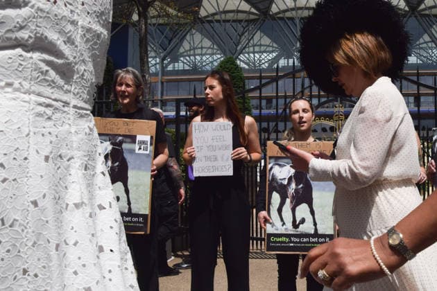 Großbritannien, Tierschützer protestieren gegen Royal Ascot