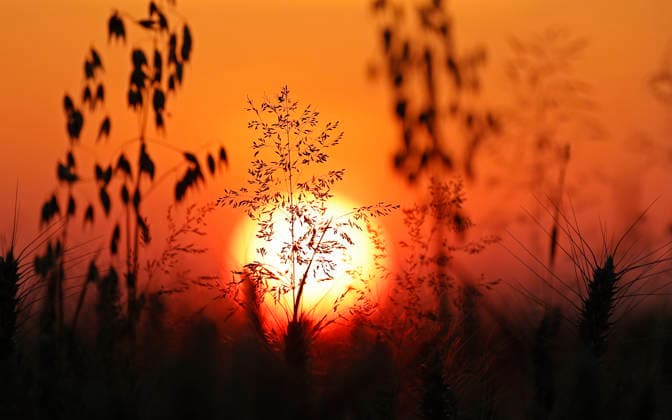 Sonnenuntergang in Hessen