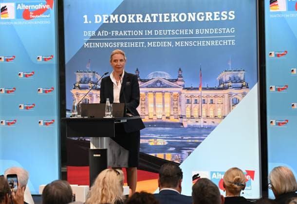 Berlin, 1. Demokratiekongress der AfD Bundestagsfraktion