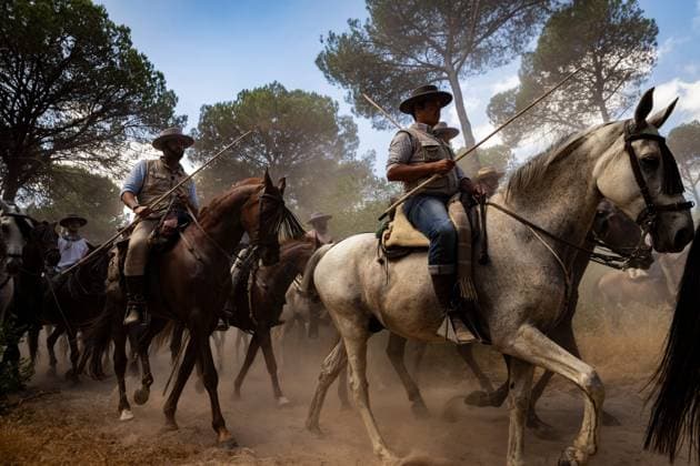 Spanien, Saca de las Yeguas