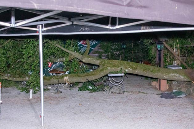 Sachsen, Ast stürzt in Biergeraten in Steinberg