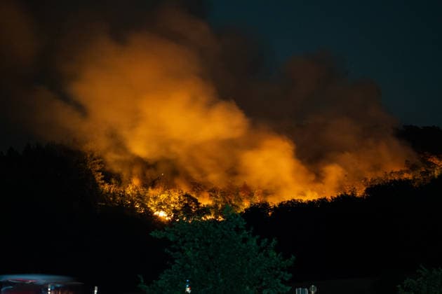 Rheinland-Pfalz, Waldbrand bei Traisen
