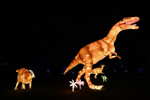 Australien, Illuminate Adelaide