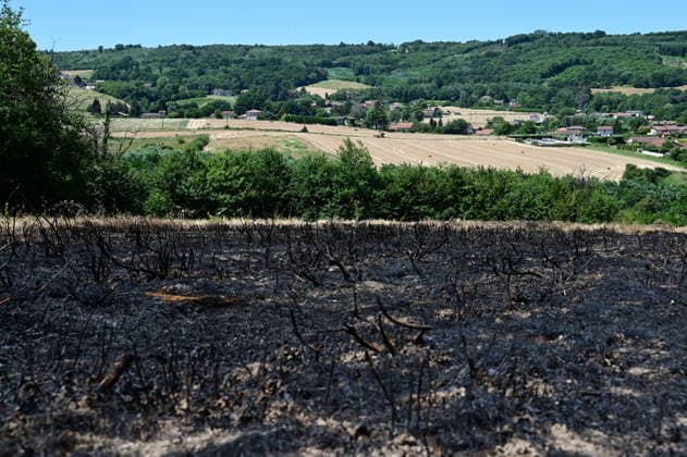 Frankreich, Waldbrand in Jardin