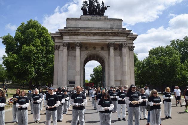 Großbritannien, Tierrechtsaktivisten halten Mahnwache am Wellington Arch in London