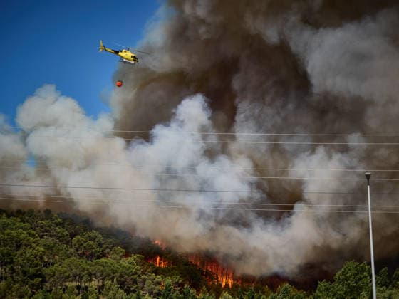 Spanien, Waldbrand in Imarcoain, Navarre