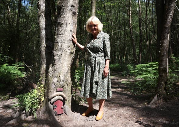 Royals, Königin Camilla bei Winnie-the-Pooh-Jubiläum in Ashdown Forest