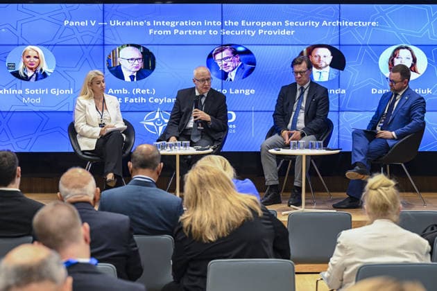 Nato-Gipfel in Ankara, Summit Dialogues: Panel zur Ukraine-Integration in europäische Sicherheitsarchitektur