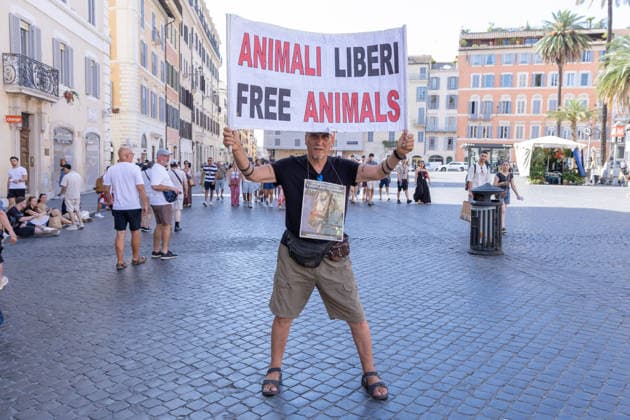 Italien, Protest gegen Pferdekutschen für Touristen in Rom